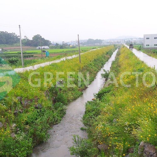 https://www.greenfactory114.com/data/editor/2406/thumb-198dce47419831dd08380272076018a2_1718875542_9839_500x500.jpg